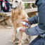 Virbac Espuma de limpeza para cães Allerderm, , large Indicador imagem número 5
